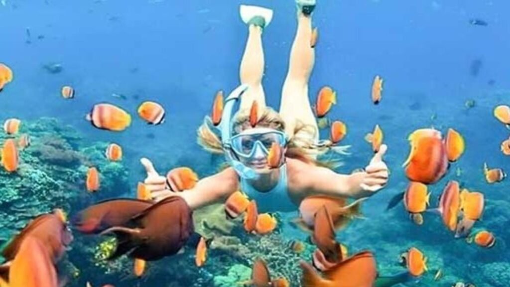 bali premium experience